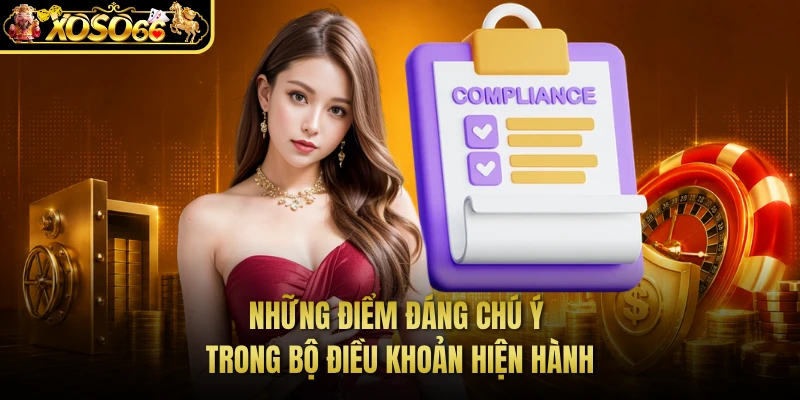 Những điểm đáng chú ý trong bộ điều khoản hiện hành